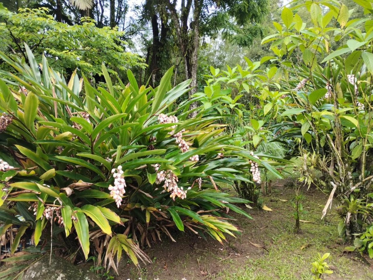 Pousada Morretes Arraial מראה חיצוני תמונה