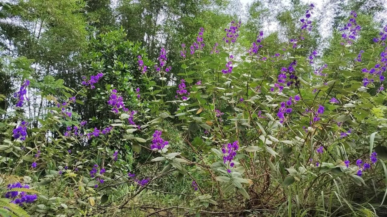 Pousada Morretes Arraial מראה חיצוני תמונה